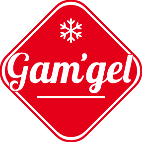 LOGO GAM'GEL@2x